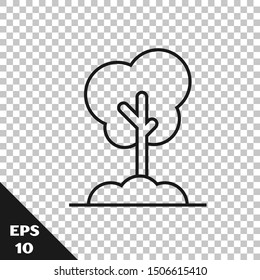 Black line Tree in the ground icon isolated on transparent background. Forest symbol.  Vector Illustration