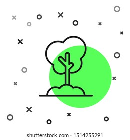 Black line Tree in the ground icon isolated on white background. Forest symbol.  Vector Illustration