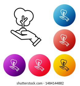 Black line Tree in hand of environmental protection icon isolated on white background. Seed and seedling. Planting sapling. Ecology concept. Set icons colorful circle buttons. Vector Illustration