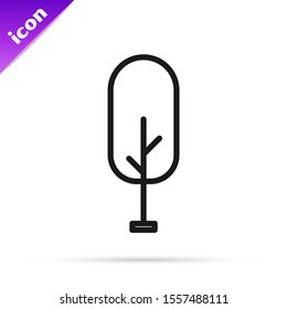 Black line Tree icon isolated on white background. Forest symbol.  Vector Illustration