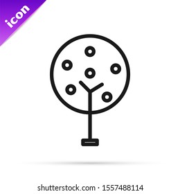 Black line Tree icon isolated on white background. Forest symbol.  Vector Illustration