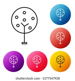 Black line Tree icon isolated on white background. Forest symbol. Set icons colorful circle buttons. Vector Illustration