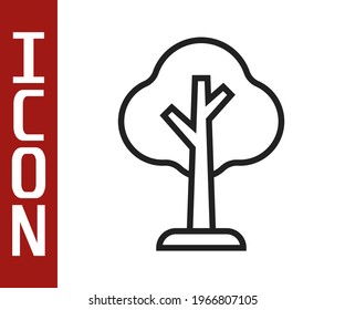 Black line Tree icon isolated on white background. Forest symbol.  Vector