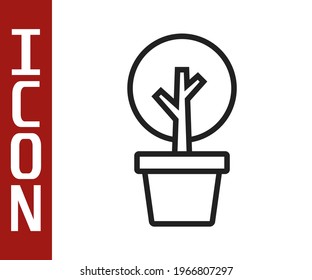 Black line Tree icon isolated on white background. Forest symbol.  Vector