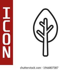 Black line Tree icon isolated on white background. Forest symbol.  Vector