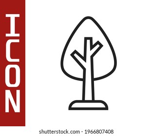 Black line Tree icon isolated on white background. Forest symbol.  Vector