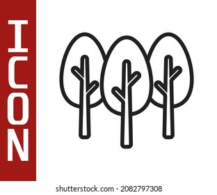 Black line Tree icon isolated on white background. Forest symbol.  Vector