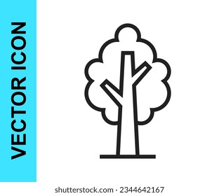 Icono del árbol de línea negra aislado en fondo blanco. Símbolo de bosque.  Vector