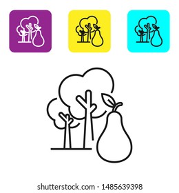 Black line Tree with pears icon isolated on white background. Agricultural plant. Organic farm product. Gardening theme. Set icons colorful square buttons. Vector Illustration