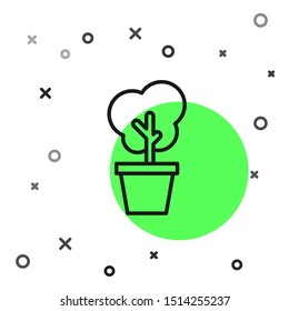 Black line Tree in pot icon isolated on white background. Houseplant in pots. Natural decor for home and interior. Potted plant sign.  Vector Illustration