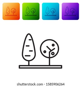 Black line Trees icon isolated on white background. Forest symbol. Set icons in color square buttons. Vector Illustration
