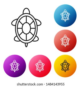 Black line Turtle icon isolated on white background. Set icons colorful circle buttons. Vector Illustration