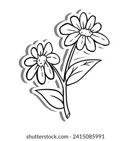 Black line Two Daisies Bloom on white silhouette and gray shadow. Hand drawn cartoon style. Vector illustration for decorate, coloring and any design.