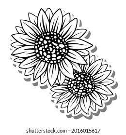 Black line two sunflowers on white silhouette and gray shadow. Vector illustration for decorate logo, text, greeting cards and any design.