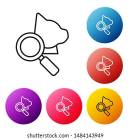 Black line Veterinary clinic symbol icon isolated on white background. Magnifying glass with cat veterinary care. Pet First Aid sign. Set icons colorful circle buttons. Vector Illustration