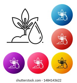 Black line Watering plant icon isolated on white background. Seed and seedling. Irrigation symbol. Leaf nature. Set icons colorful circle buttons. Vector Illustration