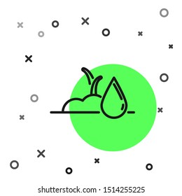 Black line Watering sprout icon isolated on white background. Seed and seedling. Irrigation symbol. Leaf nature.  Vector Illustration