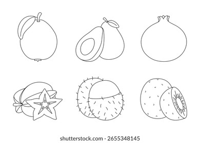 línea negra blanco y negro Clipart Ilustración vectorial conjunto de guayaba, aguacate, granada, starfruit, rambutan, kiwi sobre fondo blanco