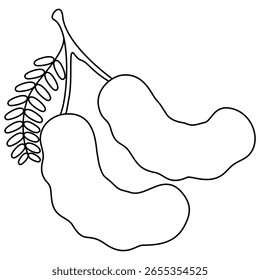 línea negra Ilustración vectorial Clipart en blanco y negro de Tamarindo sobre fondo blanco