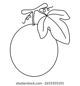 black line black and white clipart vector illustration of Passion Fruit on white background