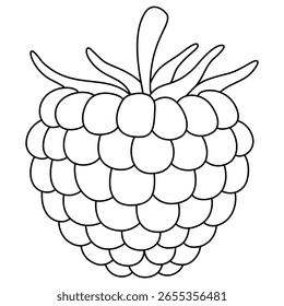 línea negra Ilustración vectorial Clipart en blanco y negro de frambuesa sobre fondo blanco