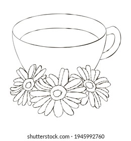 Un lineal negro. Chamomile. Té de Chamomile. Una taza de té.Vector