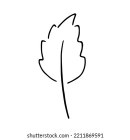 Black linear fall leaf illustration hand drawing isolated on white background