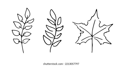 Black linear fall leaves illustration hand drawing isolated on white background