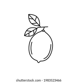 signo de limón lineal negro. concepto de dieta antioxidante, bebida refrescante, cítrico. decoración de diseño de cocina, empaque de alimentos, cal con hojas en la rama sobre fondo blanco