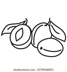 black linear outline for children's coloring book. black and white apricot close-up. linear icon for menu, cafe and restaurant.