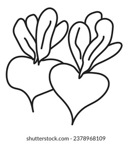 black linear outline for children's coloring book. black and white beets close-up. linear icon for menu, cafe and restaurant.