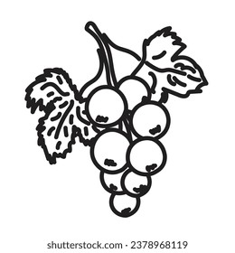 contorno lineal negro para el libro de colorear para niños. las grosellas negras y blancas se acercan. icono lineal de bayas para menú, café y restaurante.