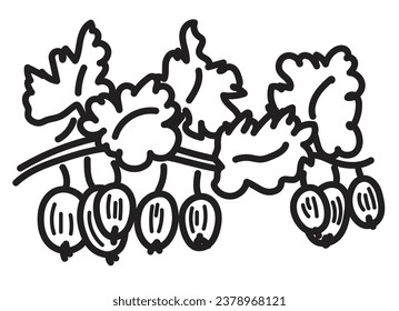 schwarze lineare Umrisse für das Kinderfarbbuch. Schwarz-Weiß-Stachelbeeren, Nahaufnahme. Lineare Ikone für Menü, Café und Restaurant.