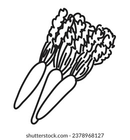 black linear outline for children's coloring book. black and white carrot close-up. linear icon for menu, cafe and restaurant.