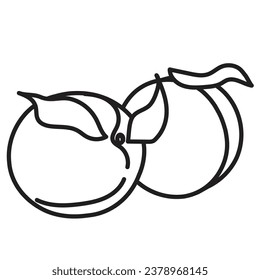 black linear outline for children's coloring book. black and white peaches close-up. linear icon for menu, cafe and restaurant.