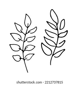 Black linear rowan leaves simple illustrations hand drawn isolated on white background