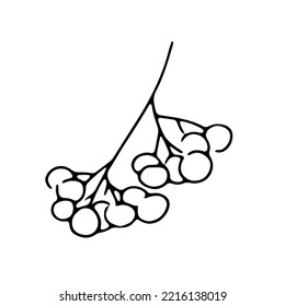 Dibujo manual de rowanberry lineal negro aislado en fondo blanco