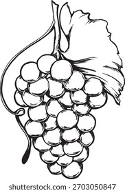 Ilustración vectorial lineal negra de uvas