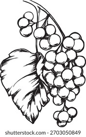 Ilustración vectorial lineal negra de uvas