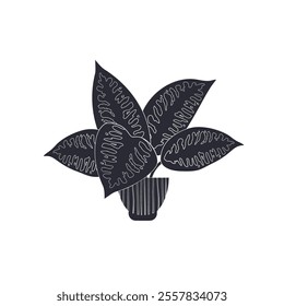 Black linocut silhouette of potted houseplant diffenbachia. Tropical plant monochrome hand drawn design