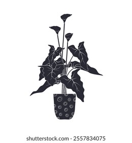 Black linocut silhouette of potted houseplant calla. Tropical plant pilea monochrome hand drawn design