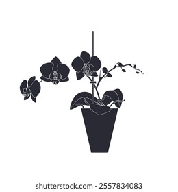 Black linocut silhouette of potted houseplant moth orchid. Tropical plant monochrome hand drawn design