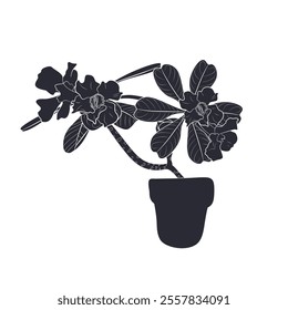 Black linocut silhouette of potted houseplant desert rose. Tropical plant monochrome hand drawn design