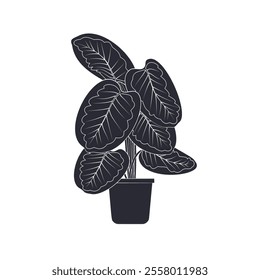 Black linocut silhouette of potted houseplant calathea. Tropical plant monochrome hand drawn design