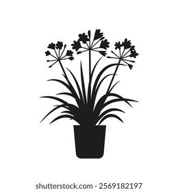 Black linocut silhouette of potted houseplant agapanthus. Tropical plant monochrome hand drawn design