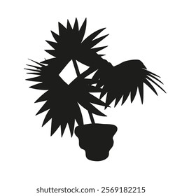 Black linocut silhouette of potted houseplant fan palm. Tropical plant monochrome hand drawn design