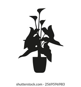 Black linocut silhouette of potted houseplant calla. Tropical plant pilea monochrome hand drawn design