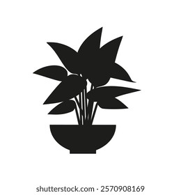 Black linocut silhouette of potted houseplant stromanthe. Tropical plant monochrome hand drawn design