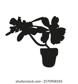 Black linocut silhouette of potted houseplant desert rose. Tropical plant monochrome hand drawn design