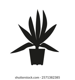 Black linocut silhouette of potted houseplant rhoeo. Tropical plant monochrome hand drawn design